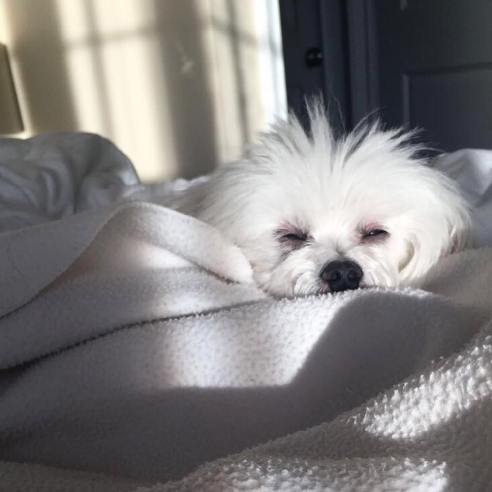 Meet your Posher, Jacqueline